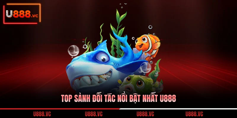 top-sanh-doi-tac-noi-bat-nhat-u888